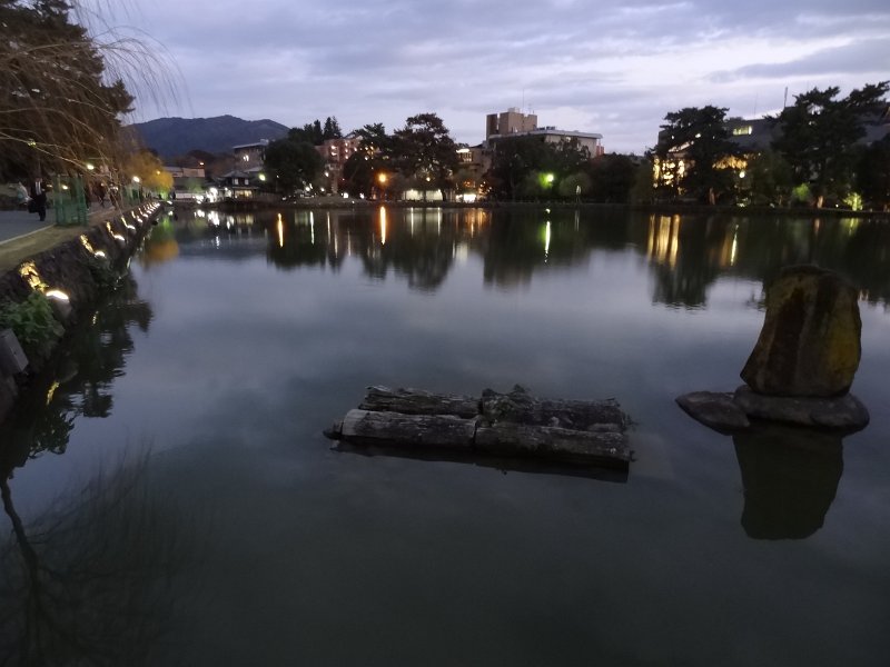 2017_Japon_Nara-6-parc_Nara_05