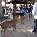 2017_Japon_Nara-2-Temple_Todai-ji_03
