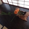 2017_Japon_Nara-7- Naramachi_57