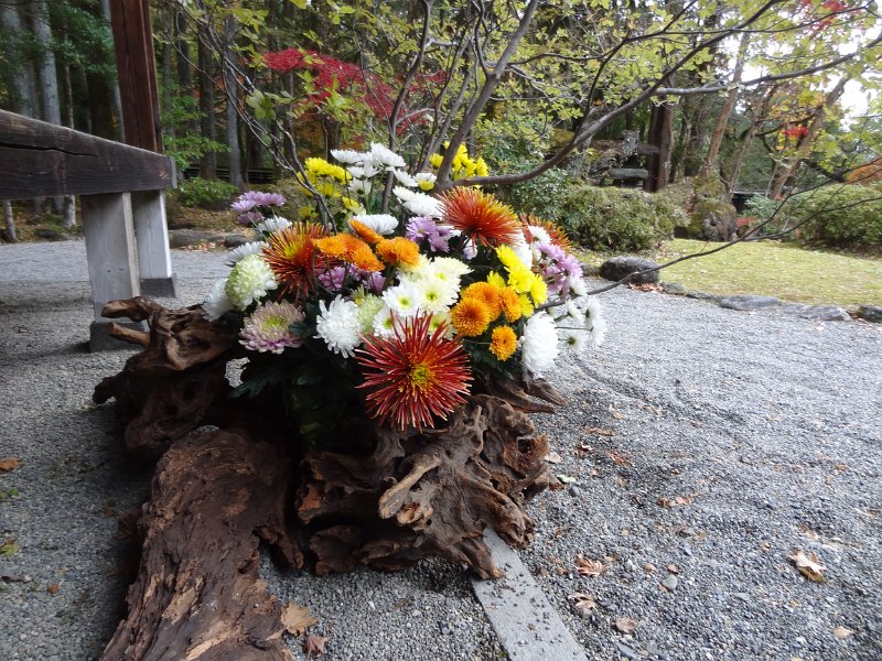 2019_Japon-5-Nikko-Expo_ikebana_08