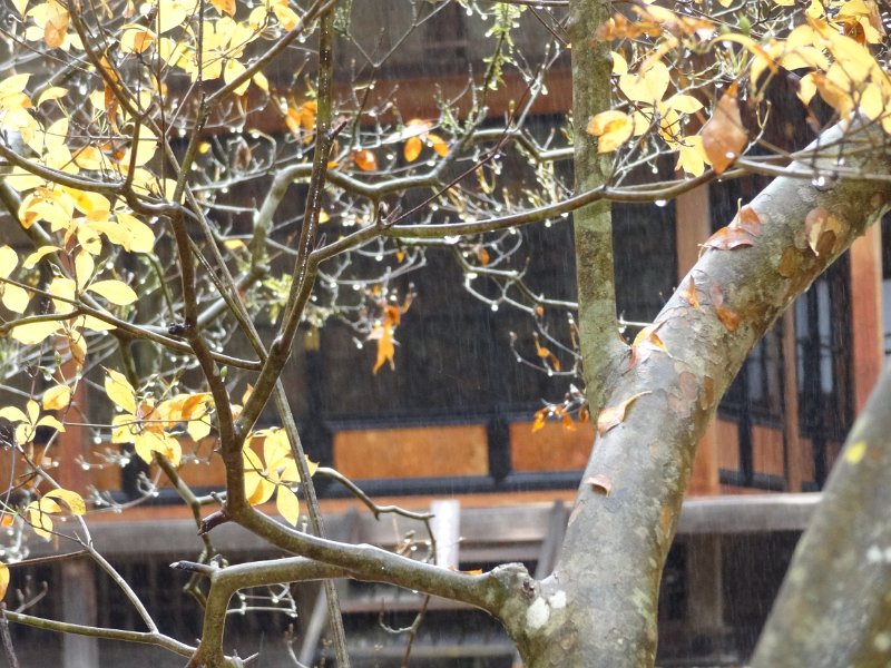 2019_Japon-5-Nikko-Villa Imperiale_Tamozawa_39
