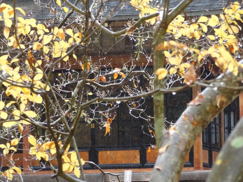 2019_Japon-5-Nikko-Villa Imperiale_Tamozawa_40