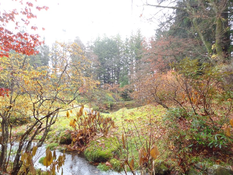 2019_Japon-5-Nikko-Villa Imperiale_Tamozawa_41