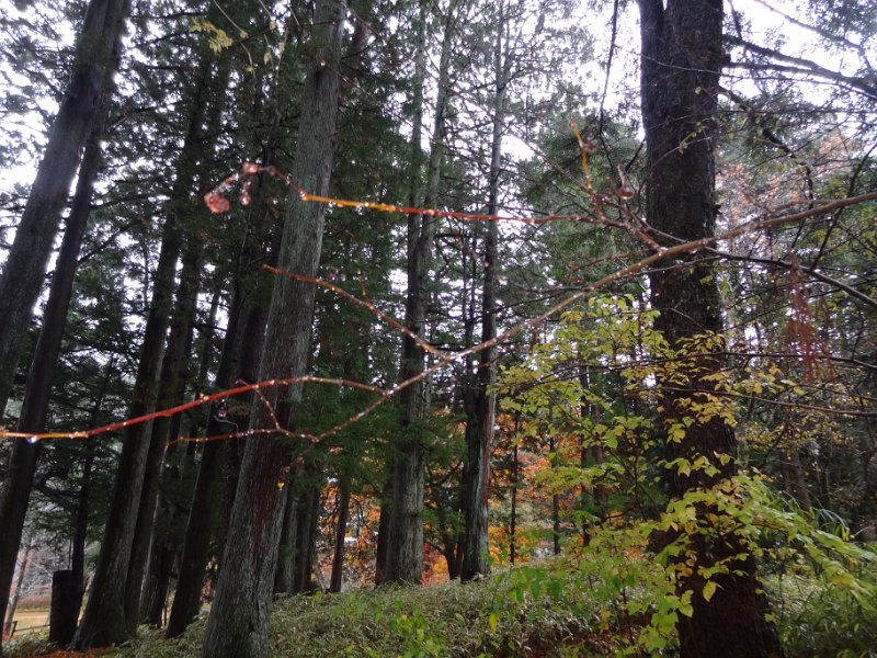 2019_Japon-5-Nikko-Villa Imperiale_Tamozawa_42