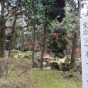 2019_Japon-5-Nikko-Expo_ikebana_09