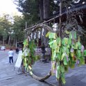 2019_Japon-5-Nikko-Futarasan-jinja_13