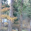 2019_Japon-5-Nikko-Mausole_Taiyuin_21