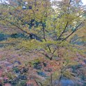 2019_Japon-5-Nikko-Mausole_Taiyuin_22
