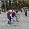 2019_Japon-5-Nikko-Toshogu_Shrine_07