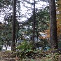 2019_Japon-5-Nikko-Toshogu_Shrine_39
