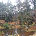 2019_Japon-5-Nikko-Villa Imperiale_Tamozawa_35