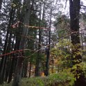 2019_Japon-5-Nikko-Villa Imperiale_Tamozawa_42
