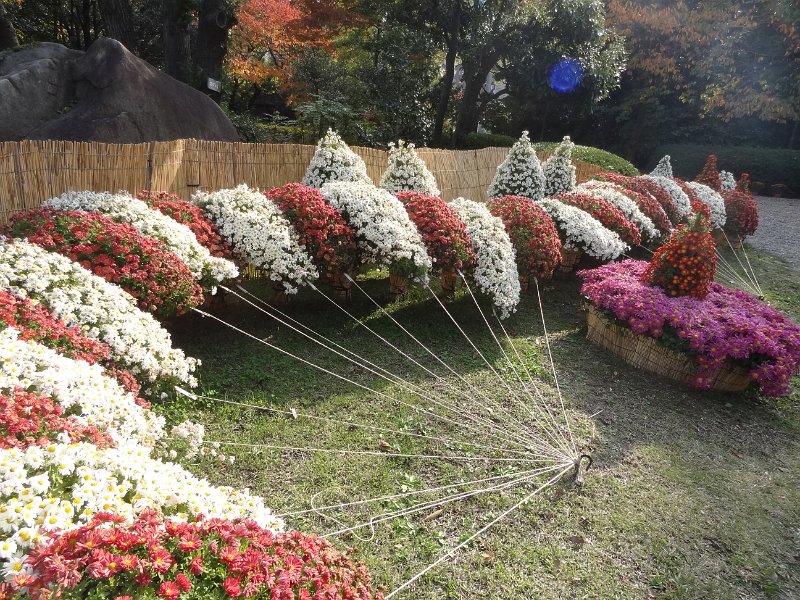 2017_JAPON_Osaka-7-Jardin_Keitaku_02