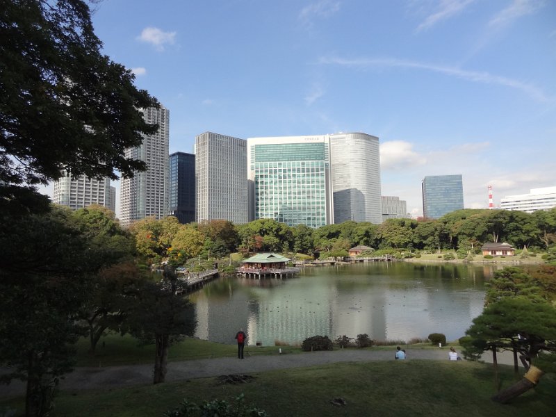 2015_Japon_Tokyo-11-Hama-Rikyu Onshi-Teien_29