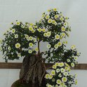 2015_Japon_Tokyo-18-Parc_Hibiya_16