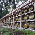 2015_Japon_Tokyo-7-sanctuaire_Meiji-jingu_22