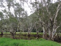 2015 NC 12 Thio-3-environs 11