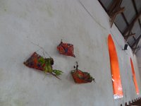 2015 NC les iles-1-Mare 26
