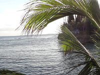 2015 NC les iles-1-Mare 51