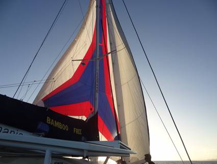 2015_NC_avec_les_baleines_17
