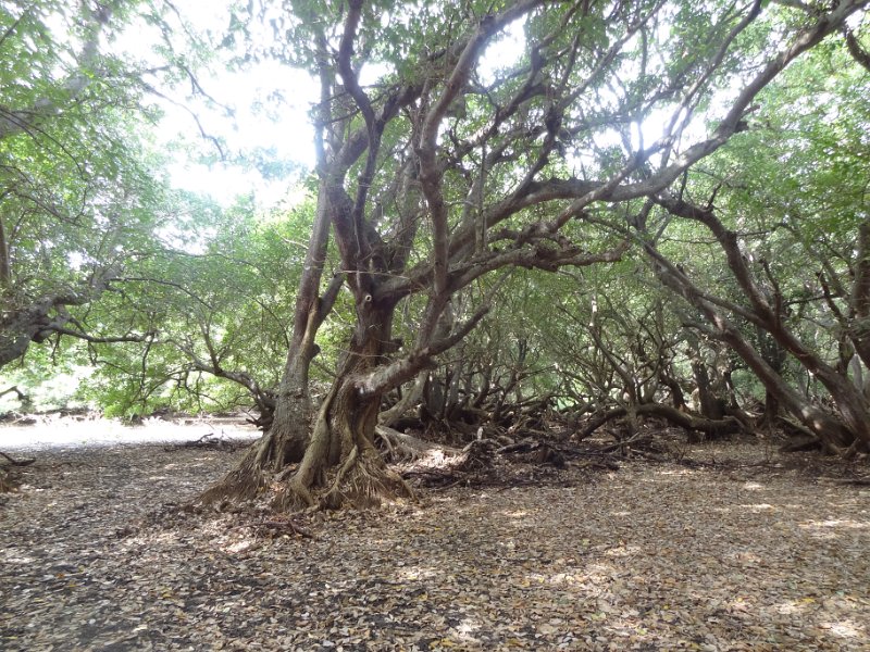 2019_NC_Bourail_Deva_44
