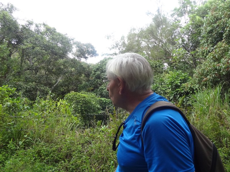 2019_NC_Farino+Parc_grandes_fougeres_13