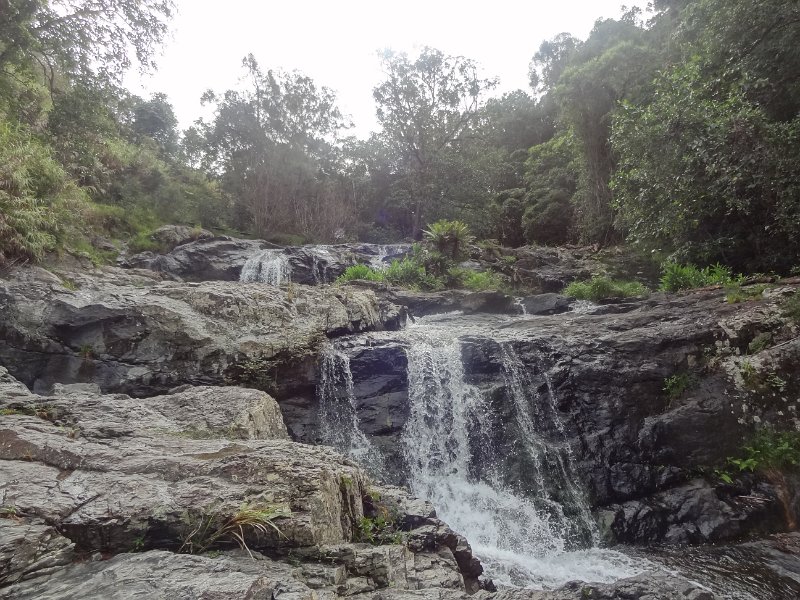 2019_NC_Farino+Parc_grandes_fougeres_23