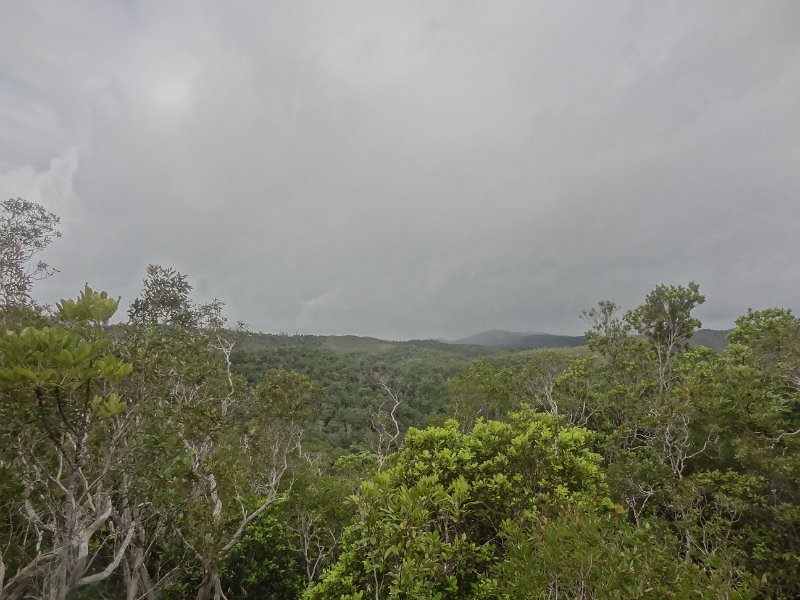 2019_NC_Farino+Parc_grandes_fougeres_39