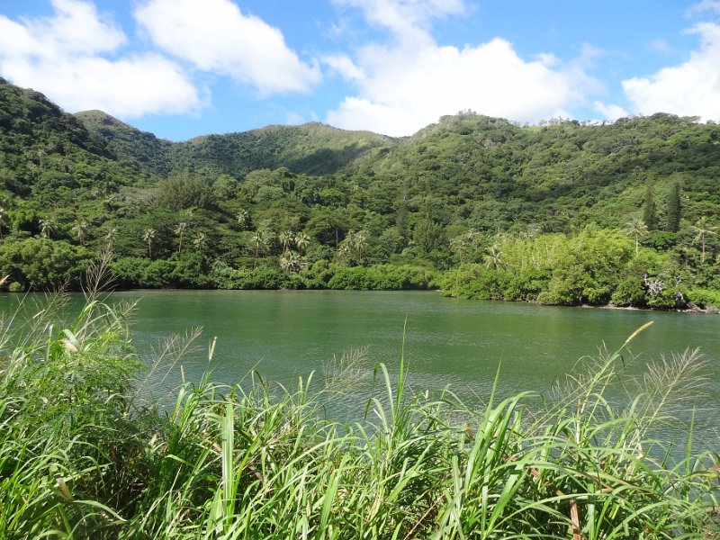 2019_NC_Hienghene_et_environs_19