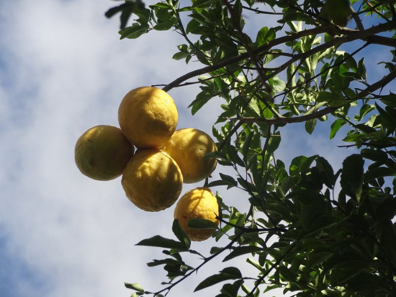 2019_NC_Hienghene_et_environs_33