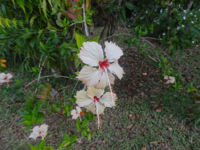 2019_NC_Hienghene_et_environs_46
