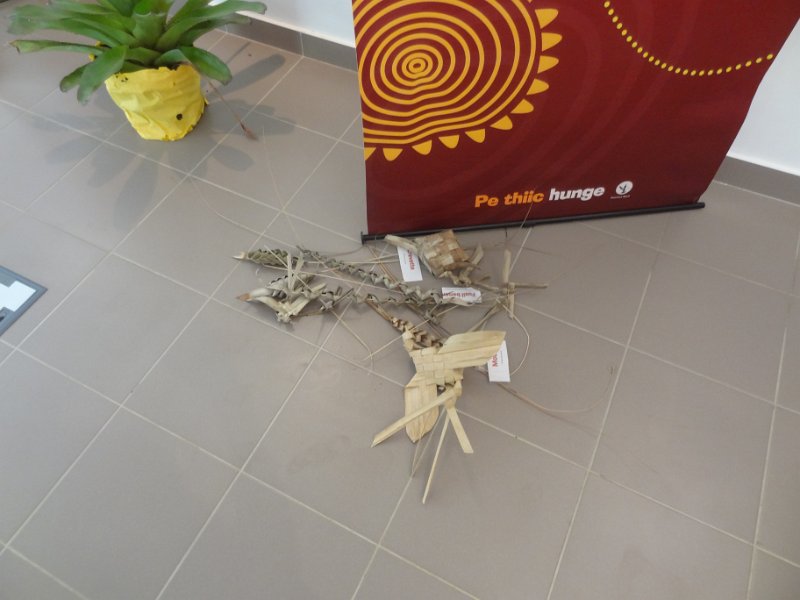 2019_NC_Hienghene_et_environs_62