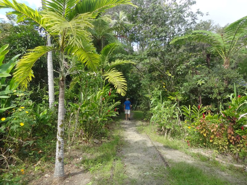 2019_NC_Hienghene_et_environs_77