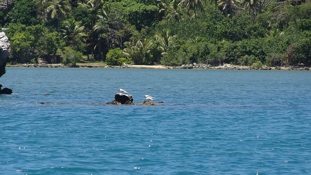 2019_NC_Hienghene_et_environs_de_la_mer_41