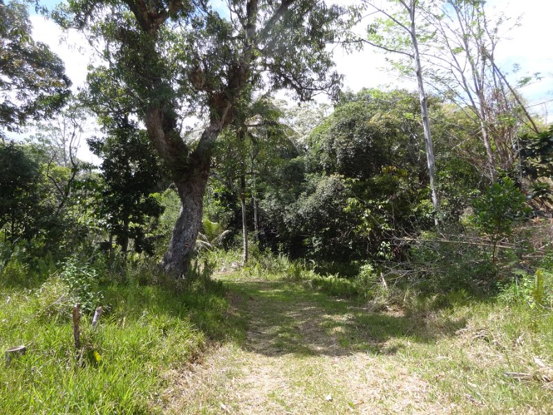2019_NC_Hienghene_et_environs_sur_le_GR_03