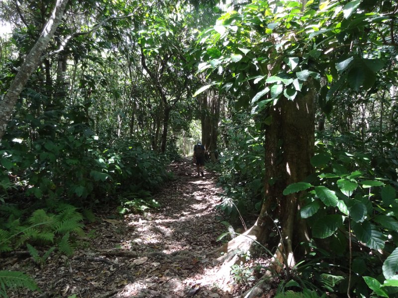 2019_NC_Hienghene_et_environs_sur_le_GR_06