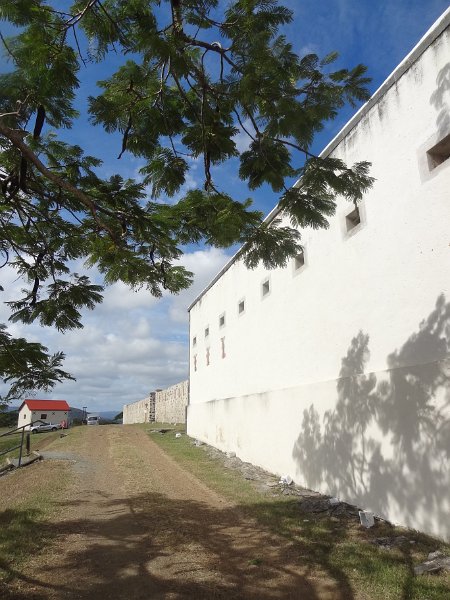 2019_NC_Teremba_10