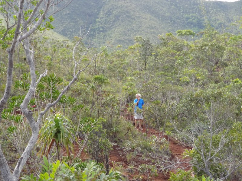2019_NC_Yate_Bois-du-Sud_06