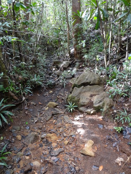 2019_NC_Yate_Bois-du-Sud_10