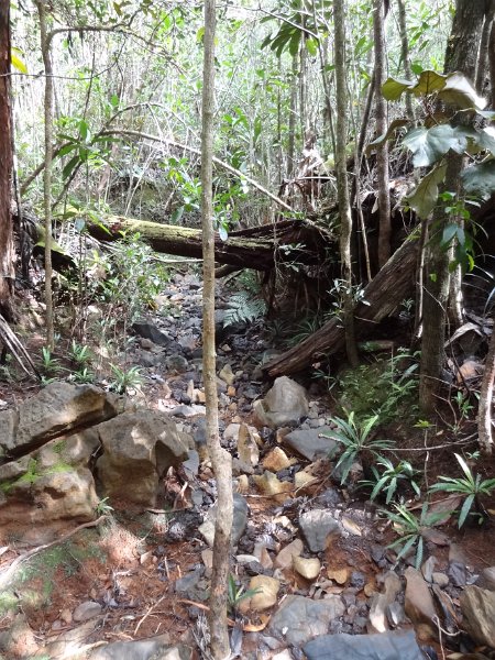 2019_NC_Yate_Bois-du-Sud_11