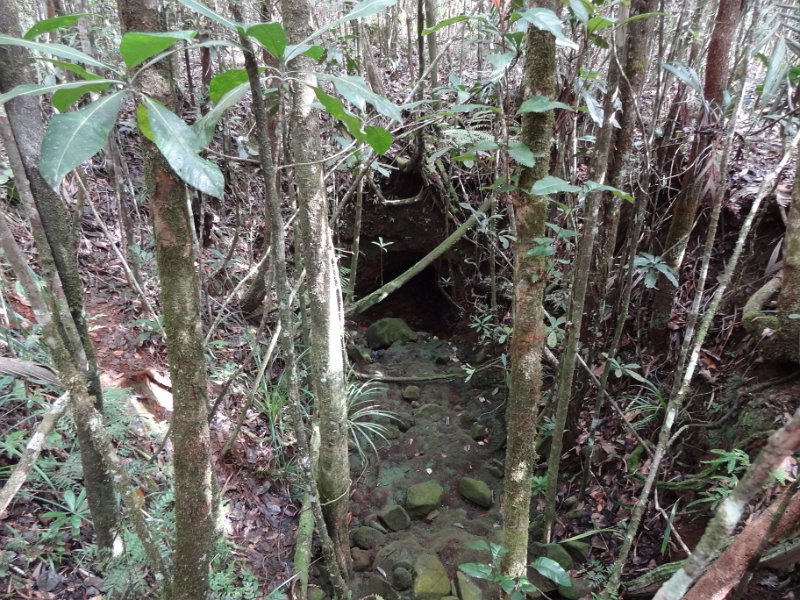 2019_NC_Yate_Bois-du-Sud_14