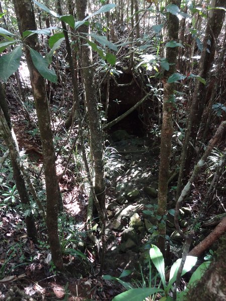 2019_NC_Yate_Bois-du-Sud_15