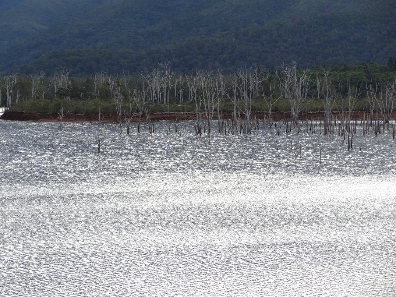 2019_Yate_Parc_Riviere_Bleue_20