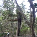 2019_NC_Bourail_Deva_09