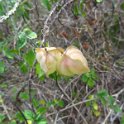 2019_NC_Bourail_Deva_39