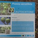 2019_NC_Bourail_Deva_41