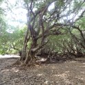 2019_NC_Bourail_Deva_44