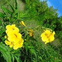 2019_NC_Bourail_Deva_51