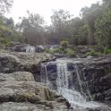 2019_NC_Farino+Parc_grandes_fougeres_23