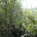2019_NC_Farino+Parc_grandes_fougeres_30